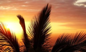 relaxing music for sleep. download deep sleep music mp3