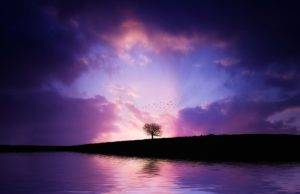 Stress relief music mp3 downloads. health benefits of music
