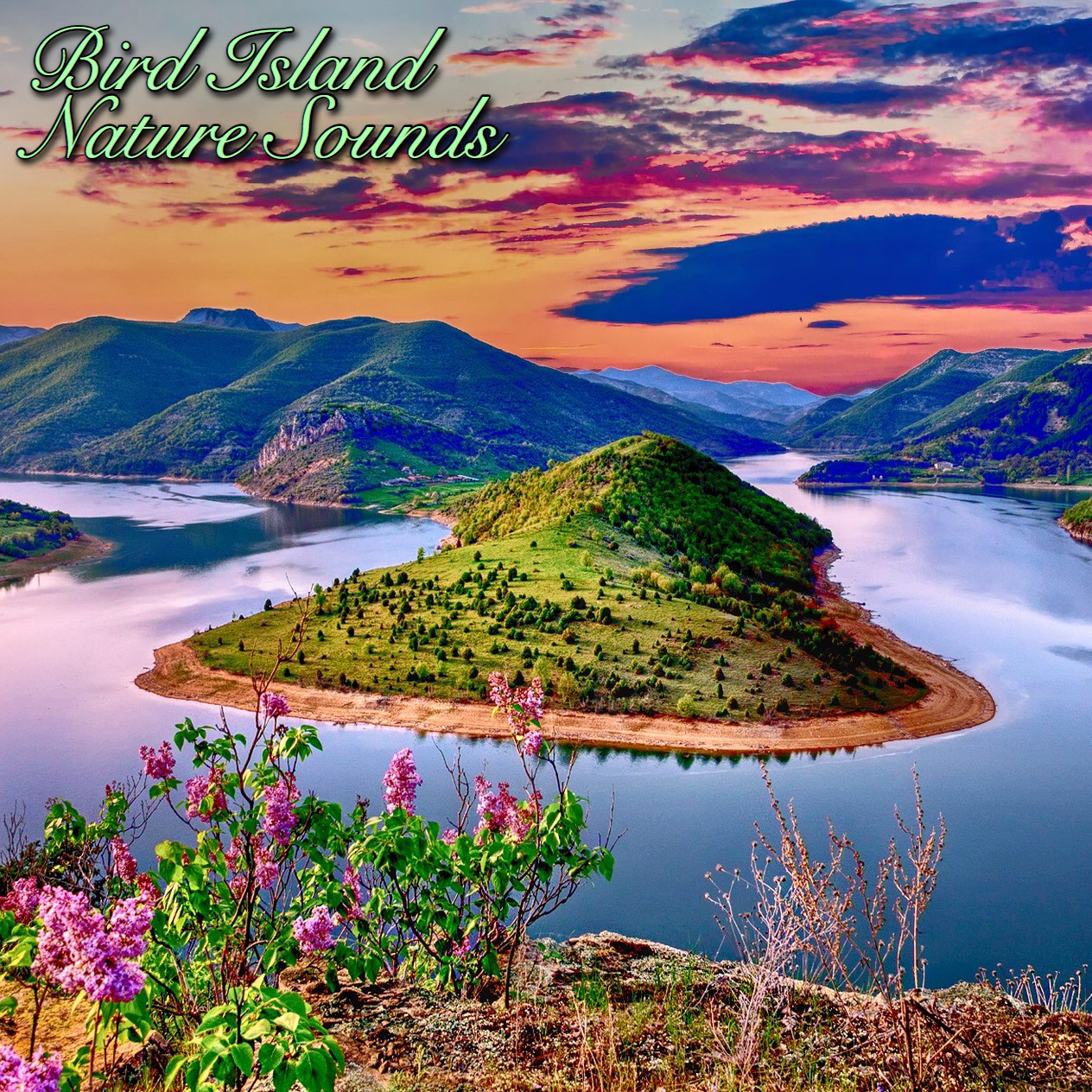 bird-island-nature-sounds-mp3-download-music2relax